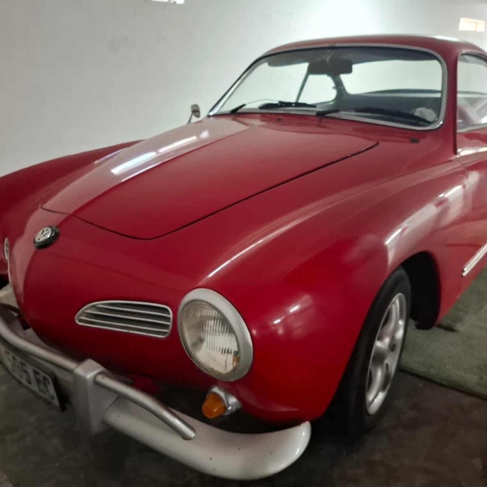 WhatsApp Image 2026-04-12 at 19.12.21
